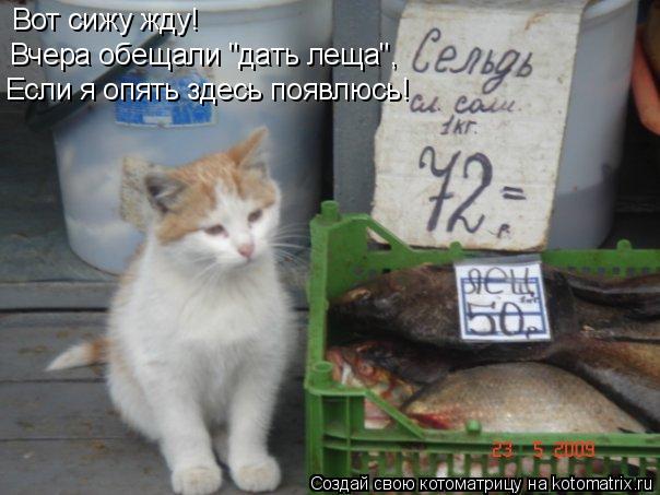 Даю леща. Дать леща. Лещ прикол. Лещ смешной. Дам тебе леща